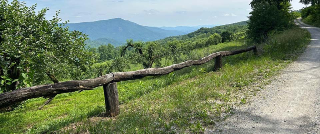 rail fence along Orchard Road